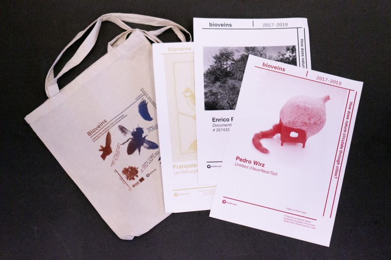 Interprétation de la charte, déclinaisons de Meredith et de (link: https://www.grandemasse.org/?c=activites&p=atelier-serigraphie text: l'atelier de sérigraphie des Grands Voisins ) Bioveins - g.u.i.