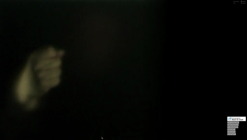  Compagnie Haut et Court - g.u.i.