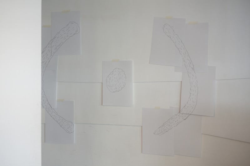  Gestes du Contact Improvisation - g.u.i.