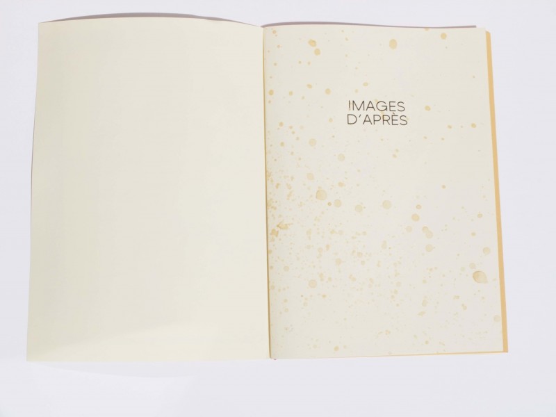 IMAGES D’APRÈS - g.u.i.