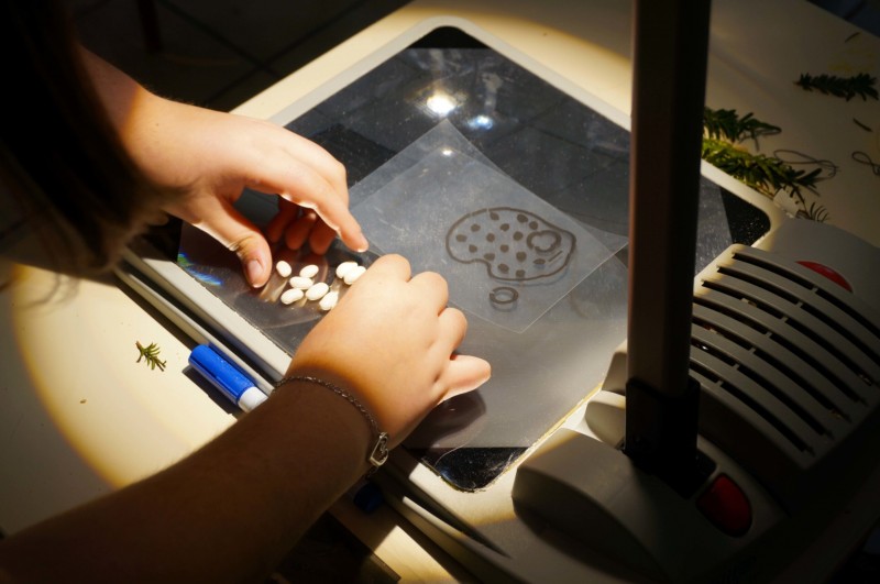 IMAGES D’APRÈS - g.u.i.