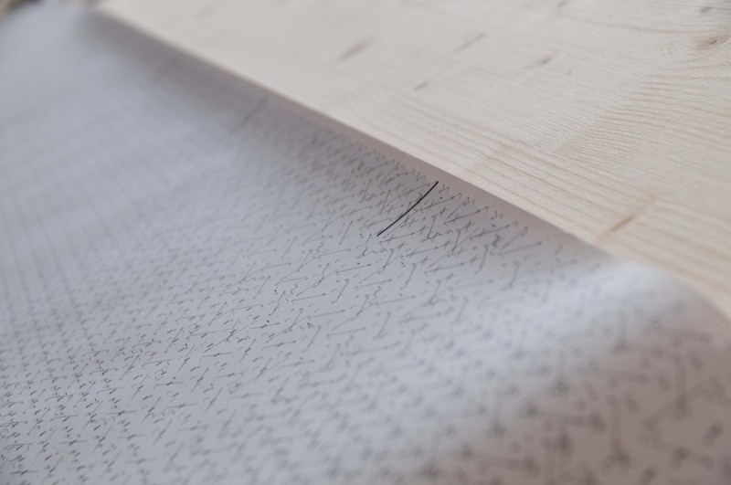 Nous ne notons pas les fleurs, dit le géographe - g.u.i.